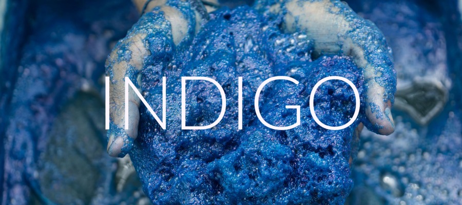 Hands holding indigo with the word indigo in white.|