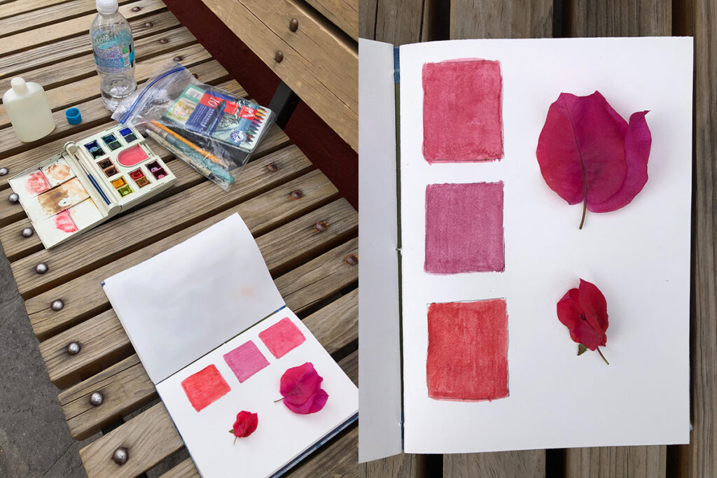 A photo of a travel journal with two flower blossoms and paint swatches to match, taken by Kristin Crane.