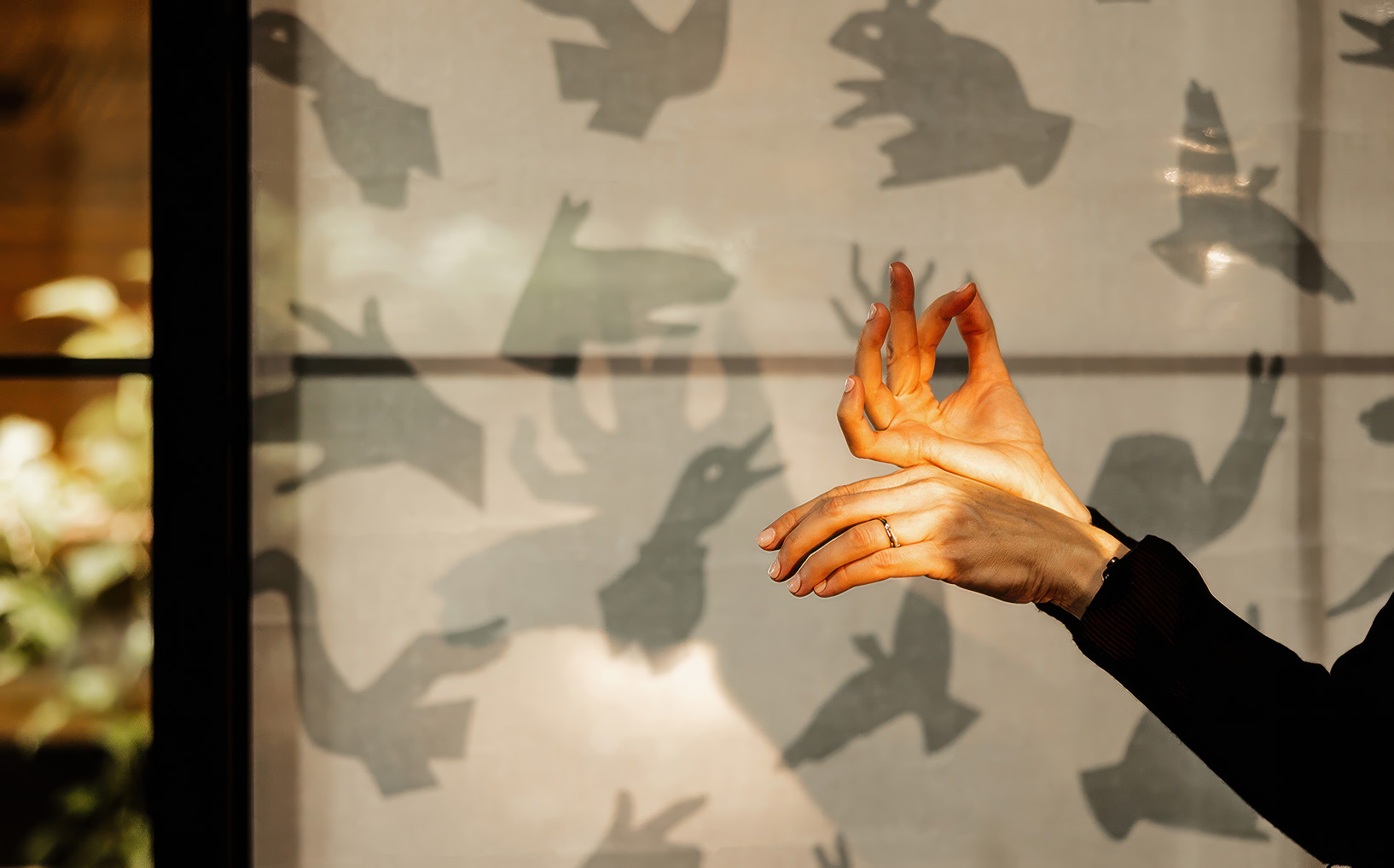 Hands making a shadow pupet