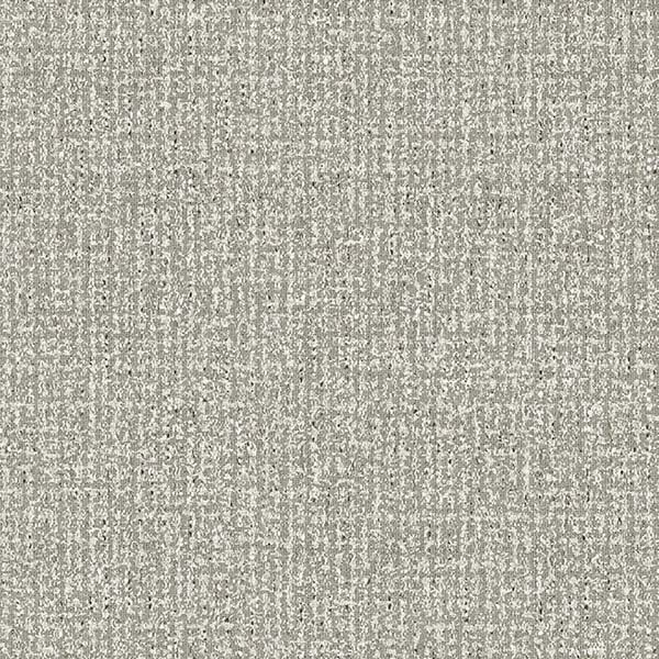 Surface Pattern P1693